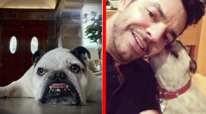 Eugenio Derbez comparte que murió su perrita Fiona; la despide con emotivo mensaje