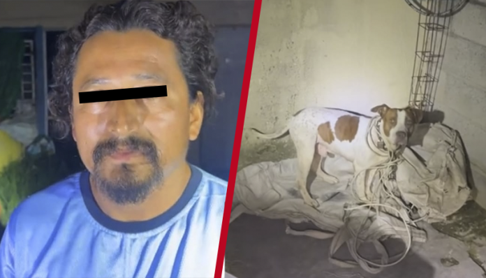 Sanción Social localiza y expone a maltratador de animales