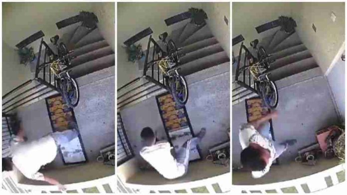 Golpean y avientan a perrito desde tercer piso en Puebla