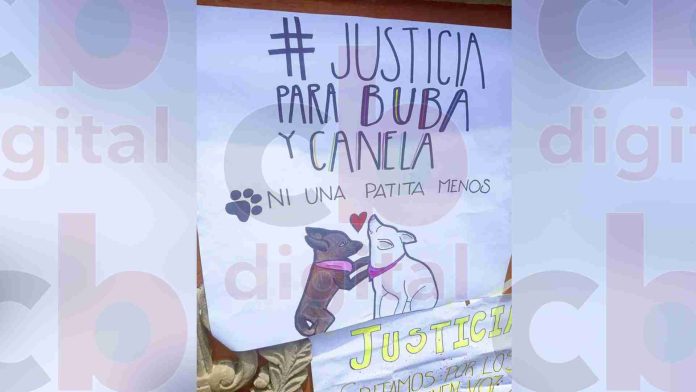 Presuntas inconsistencias en caso 