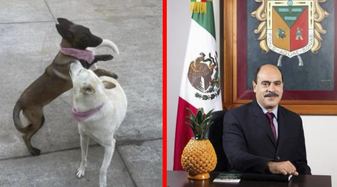 La Edil de Tangancícuaro llega a un acuerdo con dueños de 