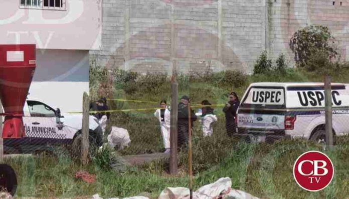 Seis ejecutados en Álvaro Obregón en menos de 24 horas