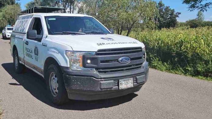 Policías se topan con cadáver cerca de un arroyo