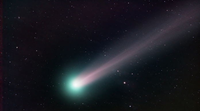 Cometa Nishimura