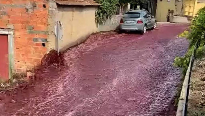 Ríos de vino tinto inundan las calles en Portugal