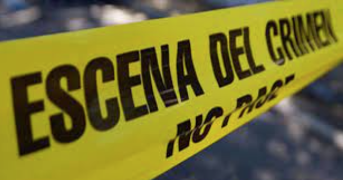 Una familia y sus dos perros murieron intoxicados por dormir en su auto