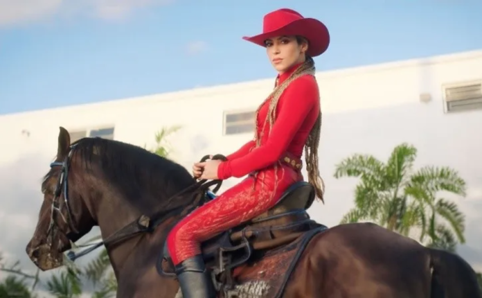 Shakira es acusada de plagio por su video el 