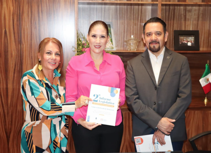 Bienestar familiar, nuestra principal encomienda: Dip. Luz García