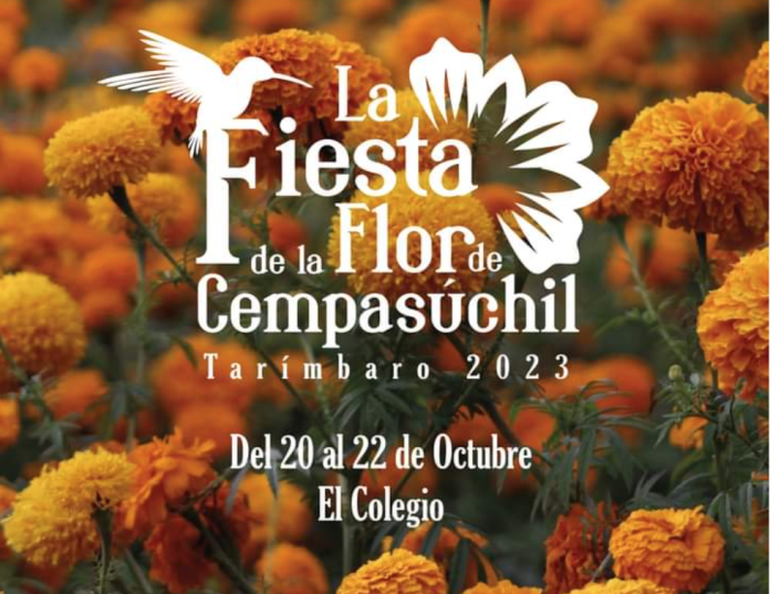 Listos para festividades más de mil productores de Flor de Cempasúchil de Tarímbaro