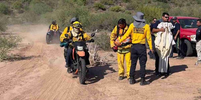 Desaparecen 3 bomberos cuando buscaban a una persona extraviada en un cerro de Sonora