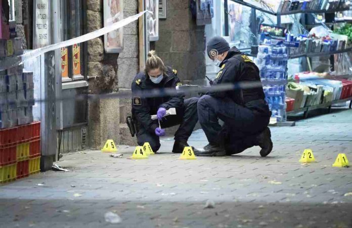 Niño de 13 años encontrado asesinado a tiros en un bosque de Suecia