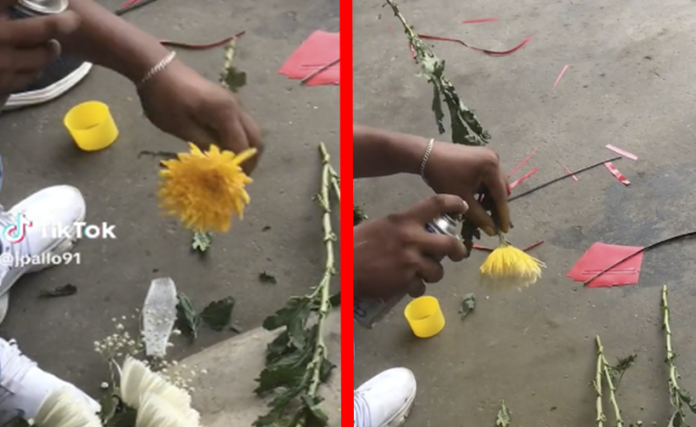 Cachan a vendedores pintando flores para venderlas muy caras