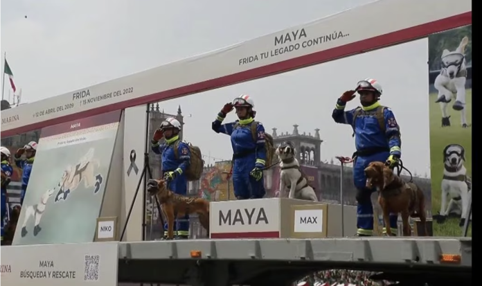 Frida y Proteo reciben homenaje durante Desfile Militar