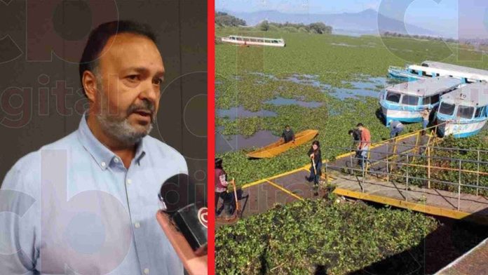 Afectada un 50% la pesca en lago de Pátzcuaro por sequía