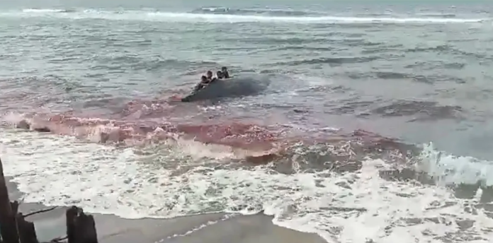 Video: Muere una ballena jorobada en costas de Tabasco
