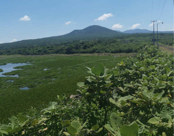 Crisis en Vasos captadores de agua en región Zamora
