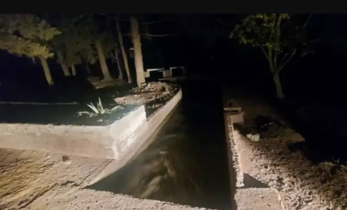 Padres mueren frente a su hijo al tratar de salvar a su perrito