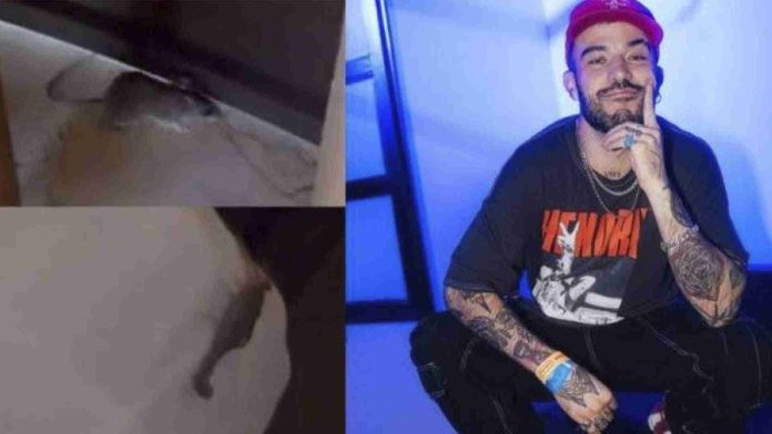 Diego Alfaro encuentra alacrán y ratones en cuarto de hotel