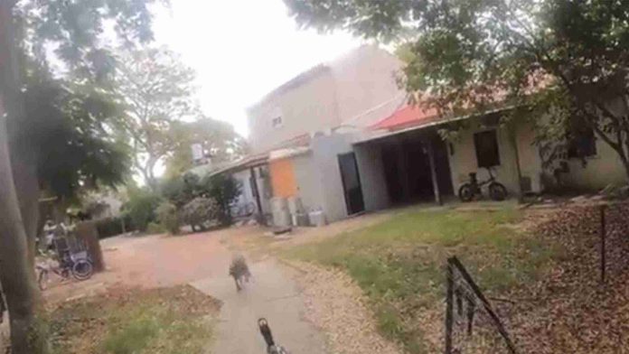 Integrante de Hamás mata a perrito y capta el momento con cámara corporal