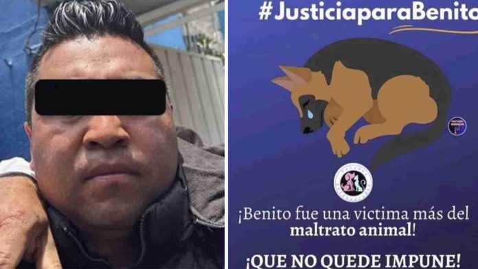 Sujeto que arrojó a perrito en aceite hirviendo podría salir bajo fianza