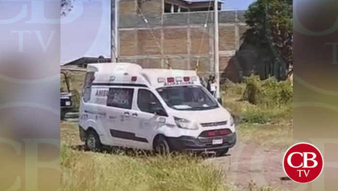 Abuelito muere por picaduras de abejas en La Piedad