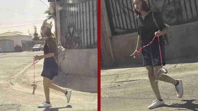 Joven saca a pasear a su pez en Mexicali