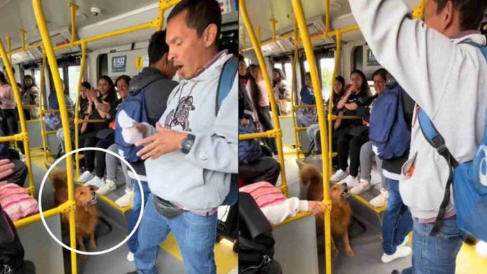 VIDEO: Perrito muestra 