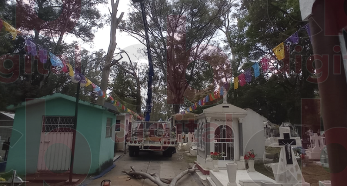 Se estarán haciendo mantenimientos como tala de árboles secos y mejor alumbrado para Panteón Municipal