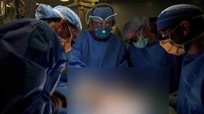 Gracias a trasplante de riñón en Michoacán, dos pacientes pudieron prolongar su esperanza de vida