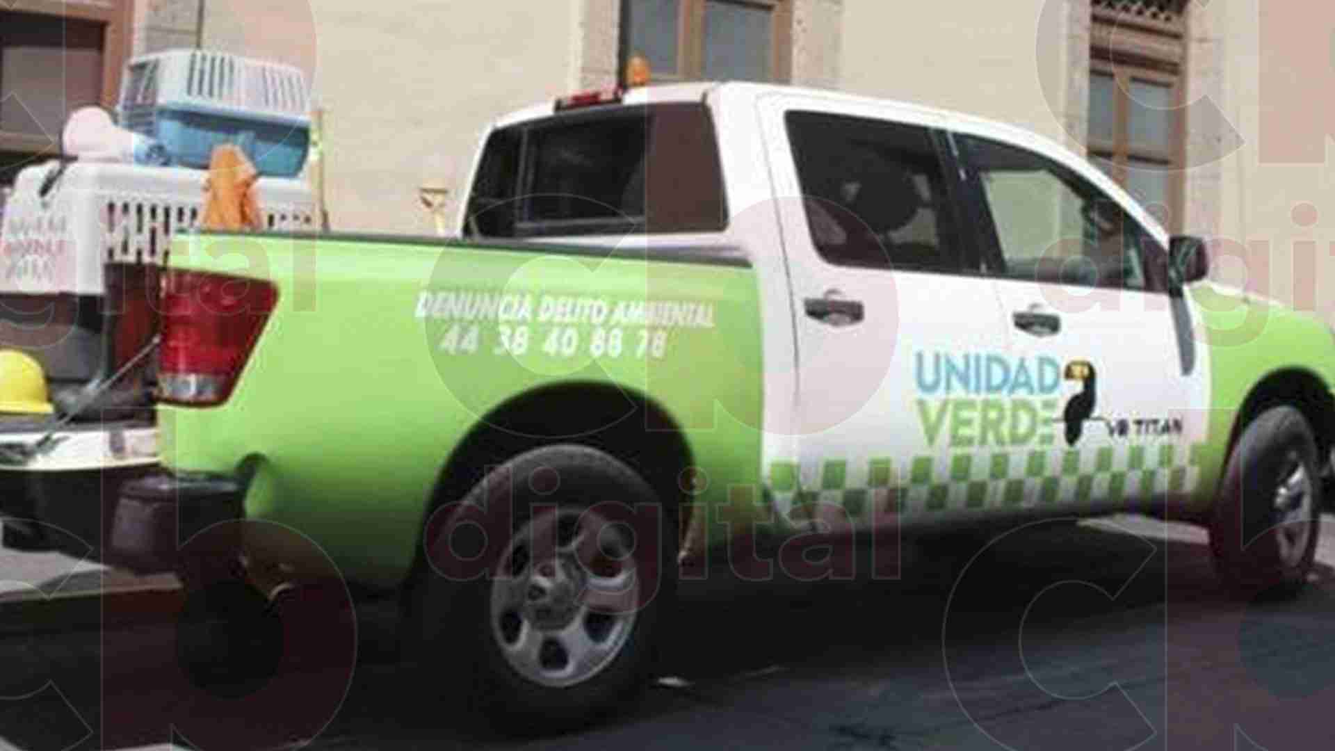 Patrulla ambientalista del PVEM recorrerá calles de Morelia Patrulla ambientalista del PVEM recorrerá calles de Morelia