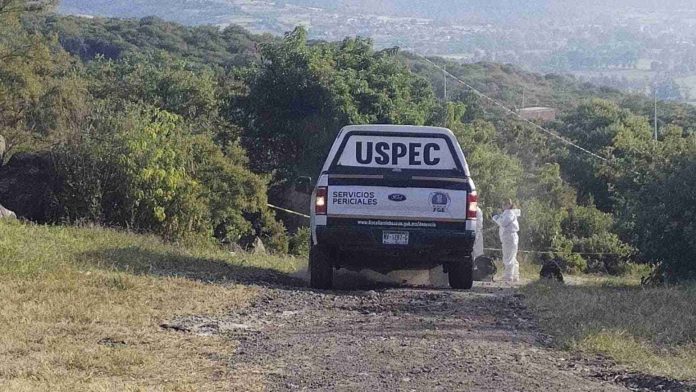 Encuentra a una mujer asesinada a puñaladas en Queréndaro
