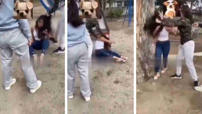 Estudiantes de secundaria azotan y golpean a compañera contra un árbol en Puebla
