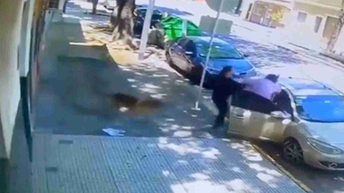 Mujer golpea brutalmente a abuelito por pedirle que recogiera las heces de su perro