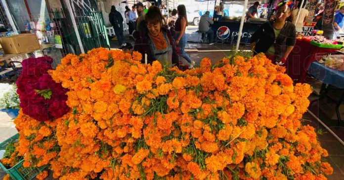 Comerciantes de flores de cempasúchil satisfechos con las ventas de este año