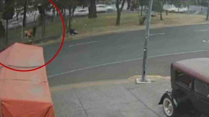 #Video: Difunden video del hombre que prendió fuego a una mujer en situación de calle