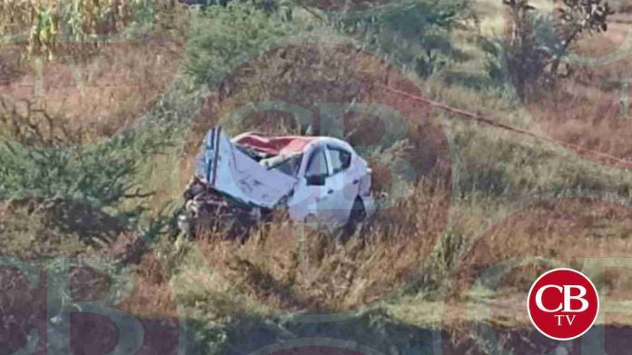 Se mata al chocar su auto con un caballo