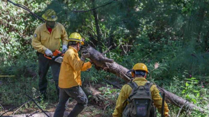 Inicia Gobierno Municipal trabajos de control y manejo de fuego 2023-2024