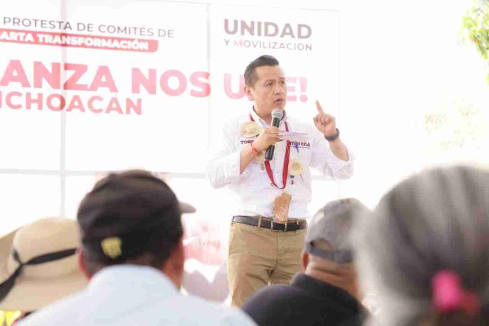 No podemos regresar a la crisis financiera que dejó Silvano: Torres Piña