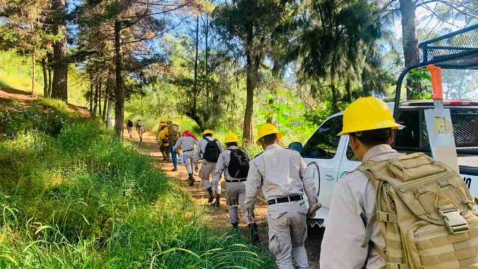 Gobierno de Nacho Campos sigue con acciones para proteger el medioambiente
