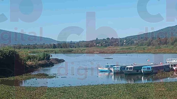 Si sequía continúa en Michoacán para abril de 2024 falta de agua será severa: CONAGUA