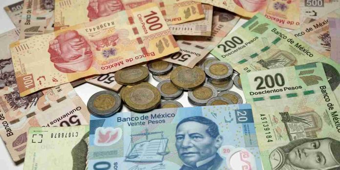 En 2024 esto es lo que se pagará en impuestos del ISR e IVA al SAT, en toda la República Mexicana