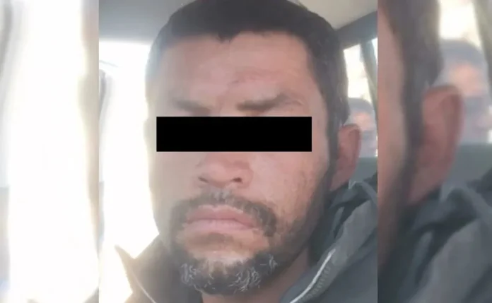 Dan un año de prisión a hombre que por cuatro años abusaba y mataba a perros y gatos