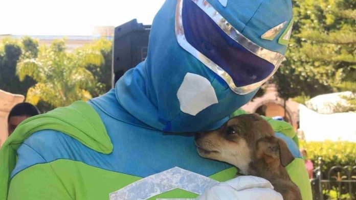 ‘Zadrigman’ llega a Acapulco para ayudar a los perritos damnificados con croquetas