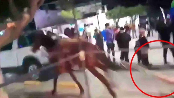 Caballo arrastra a joven durante desfile en Querétaro