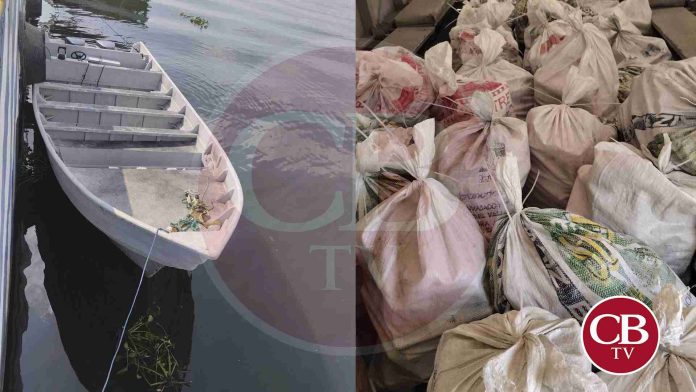 Incautan cargamento de cocaína en el puerto de Lázaro Cárdenas