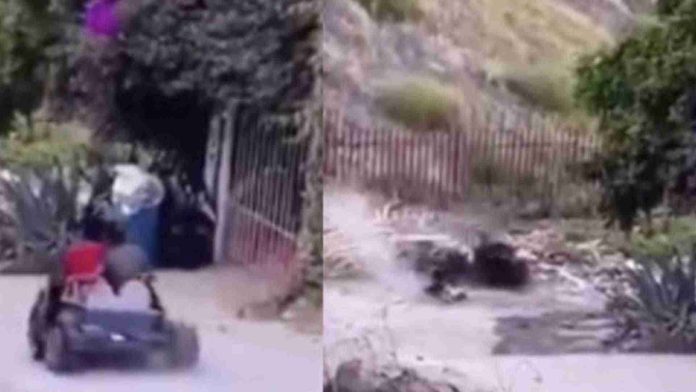 Niños sufren accidente al caer de un auto
