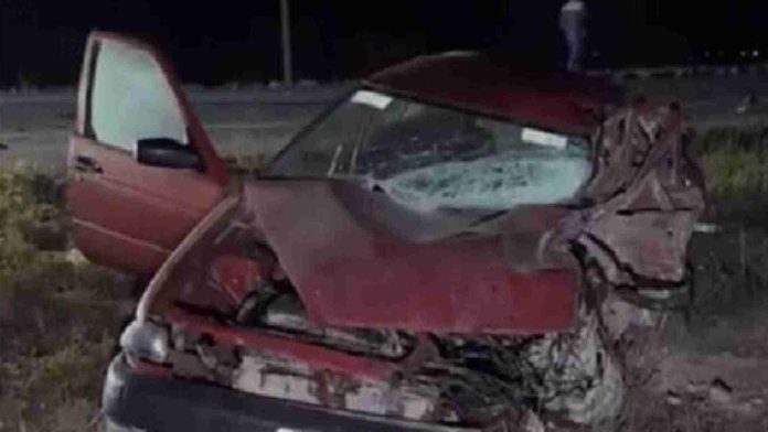 Oso provoca tragico accidente en carretera Zacatecas-Saltillo