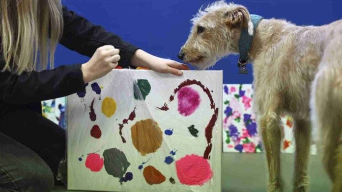 Perritos abandonados se convierten en pintores
