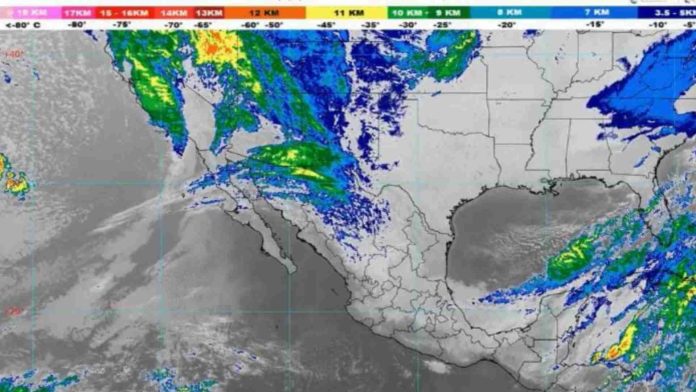 Ingresa frente frío 21 ocasionando heladas y bancos de niebla en Michoacán