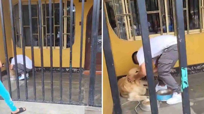 VIDEO: Así fue la emotiva despedida entre nuevo jugador de Pumas y su perrito